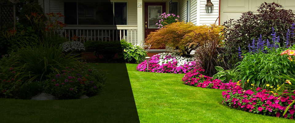 Anderson Landscapers