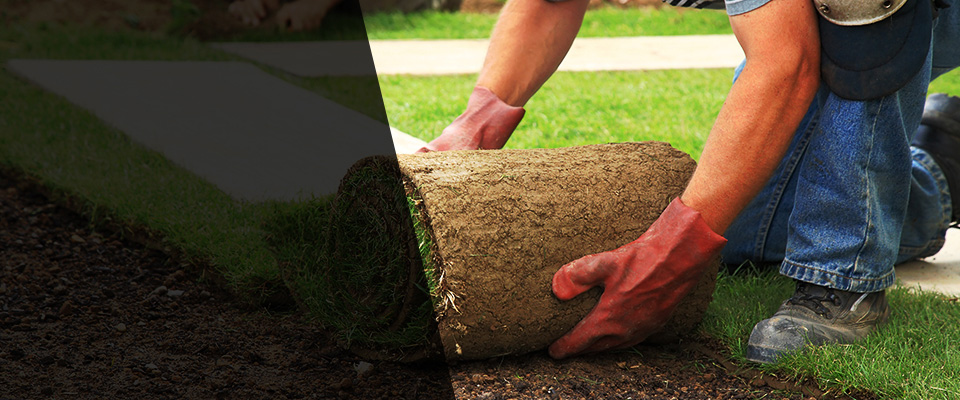 Anderson Landscapers